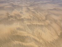 GB, Cornwall, Padstow, Doom Bar 1, Saxifraga-Foto Fitis- Sytske Dijksen