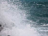 GR, Ionia Nisia, Kefalonia 23, Saxifraga-Foto Fitis-Sytske Dijksen