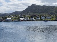 N, Finnmark, Nordkapp, Gjesvaer 6, Saxifraga-Willem van Kruijsbergen