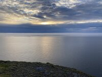 N, Finnmark, Nordkapp, Nordkapp 15, Saxifraga-Willem van Kruijsbergen