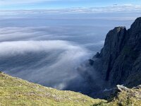 N, Finnmark, Nordkapp, Nordkapp 8, Saxifraga-Willem van Kruijsbergen