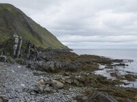 N, Finnmark, Nordkapp, Nordvagen 2, Saxifraga-Willem van Kruijsbergen