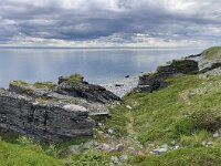 N, Finnmark, Porsanger, Russenes 2, Saxifraga-Willem van Kruijsbergen