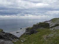 N, Finnmark, Porsanger, Russenes 8, Saxifraga-Willem van Kruijsbergen