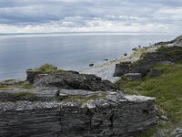 N, Finnmark, Porsanger, Russenes 9, Saxifraga-Willem van Kruijsbergen