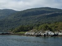 N, Innlandet, Nesna 8, Saxifraga-Marijke Verhagen