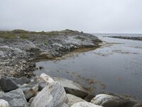 N, Nordland, Andoy, Noss 1, Saxifraga-Willem van Kruijsbergen