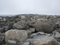 N, Nordland, Andoy, Noss 5, Saxifraga-Willem van Kruijsbergen