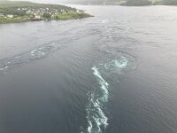 N, Nordland, Bodo, Saltstraumen 4, Saxifraga-Willem van Kruijsbergen