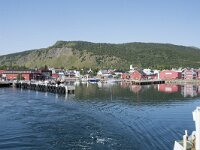 N, Nordland, Hadsel, Melbu 1, Saxifraga-Willem van Kruijsbergen