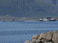 N, Nordland, Oksnes, Gisloya 33, Saxifraga-Willem van Kruijsbergen