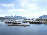 N, Nordland, Vagan, Svolvaer 6, Saxifraga-Willem van Kruijsbergen