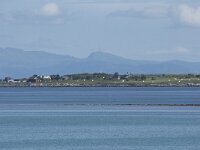 N, Nordland, Vestvagoy, Hoynes 3, Saxifraga-Willem van Kruijsbergen