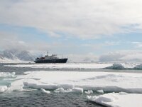 N, Spitsbergen, Fuglesangen 18, Saxifraga-Bart Vastenhouw