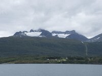 N, Troms, Lyngen, Strupbreen 5, Saxifraga-Willem van Kruijsbergen