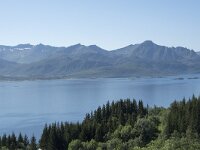 N, Troms, Senja, Skaland 4, Saxifraga-Willem van Kruijsbergen