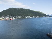 N, Troms, Tromso 4, Saxifraga-Willem van Kruijsbergen