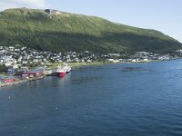 N, Troms, Tromso 6, Saxifraga-Willem van Kruijsbergen