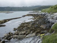 N, Troms, Tromso, Sommaroy 23, Saxifraga-Willem van Kruijsbergen