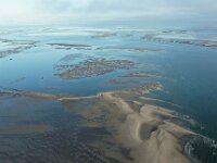 NL, Friesland, Vlieland, Vliehors 94, Saxifraga-Foto Fitis-Sytske Dijksen