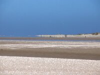 NL, Noord-Holland, Texel, De Hors 161, Saxifraga-Foto Fitis-Sytske Dijksen