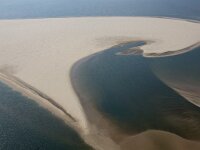 NL, Noord-Holland, Texel, Noorderhaaks 17, Saxifraga-Foto Fitis-Sytske Dijksen