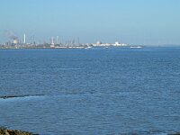 NL, Zeeland, Terneuzen, Zeedijk Margarethapolder 1, Saxifraga-Tom Heijnen