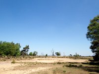 B, Antwerpen, Kalmthout, Kalmthoutse Heide 2, Saxifraga-Bart Vastenhouw