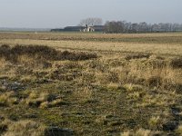 B, Limburg, Meeuwen-Gruitrode, Grote Heide 8, Saxifraga-Jan van der Straaten