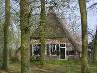 NL, Drenthe, Westerveld, Havelterberg 20, Saxifraga-Hans Dekker