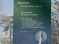 NL, Noord-Brabant, Alphen-Chaam, Strijbeekse Heide 1, Saxifraga-Jan van der Straaten