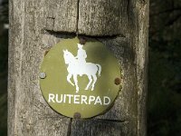 NL, Noord-Brabant, Bladel, Neterselsche Heide 10, Saxifraga-Jan van der Straaten
