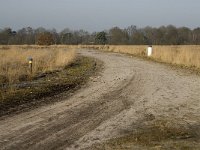 NL, Noord-Brabant, Goirle, Regte Heide 21, Saxifraga-Jan van der Straaten