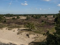 NL, Noord-Brabant, Heusden, Loonse en Drunense Duinen 61, Saxifraga-Jan van der Straaten