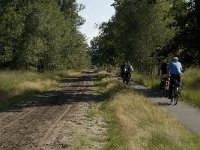 NL, Noord-Brabant, Reusel-De Mierden, Mispeleindsche Heide 2, Saxifraga-Jan van der Straaten