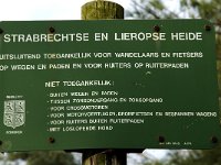 NL, Noord-Brabant, Someren, Strabrechtsche Heide 15, Saxifraga-Jan van der Straaten