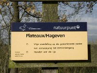 NL, Noord-Brabant, Valkenswaard, De Plateaux 2, Saxifraga-Jan van der Straaten
