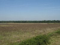 NL, Noord-Brabant, Loon op Zand, Huis ter Heide 25, Saxifraga-Willem van Kruijsbergen