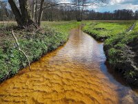 NL, Drenthe, Aa en Hunze, Anlooerdiepje 5, Saxifraga-Hans Dekker