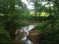 NL, Noord-Brabant, Oirschot, Beerze bij Heilige Eik 1, Saxifraga-Foto Fitis-Sytske Dijksen