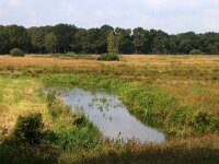NL, Drenthe, Aa en Hunze, Drentsech Aa bij Schipborg 4, Saxifraga-Foto Fitis-Sytske Dijksen
