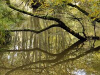NL, Limburg, Leudal, Leudal 4, Saxifraga-Foto Fitis-Sytske Dijksen