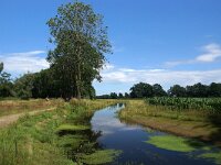 NL, Overijssel, Hof van Twente, Regge bij Kolhoop 2, Saxifraga-Foto Fitis-Sytske Dijksen