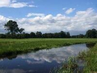 NL, Overijssel, Hof van Twente, Regge bij Kolhoop 3, Saxifraga-Foto Fitis-Sytske Dijksen