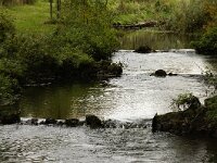 NL, Noord-Brabant, Eindhoven, Tongelreep 2, Saxifraga-Foto Fitis-Sytske Dijksen