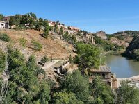 E, Toledo, Toledo, Rio Tajo 21, Saxifraga-Tom Heijnen