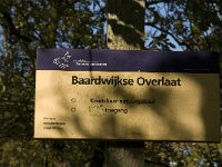 NL, Noord-Brabant, Heusden, Baardwijksche Overlaat 12, Saxifraga-Jan van der Straaten