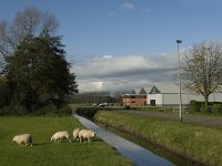 NL, Noord-Brabant, Heusden, Baardwijksche Overlaat 14, Saxifraga-Jan van der Straaten