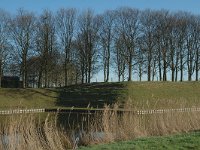 NL, Noord-Brabant, Moerdijk, Klundert 1, Saxifraga-Jan van der Straaten