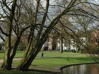 NL, Noord-Brabant, Tilburg, Wilhelminapark 3, Saxifraga-Jan van der Straaten